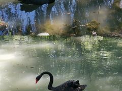 -南海子公园