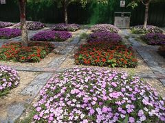 -石家庄市植物园
