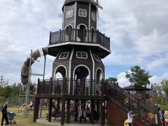 -上海长兴岛郊野公园