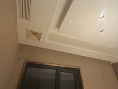 -三强鸽子(胜利路店)