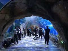 -华夏文旅海洋公园