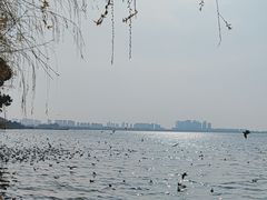 -海埂大坝