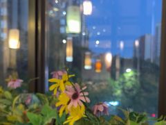 -客家园.山野土菜.宴席(大运城邦店)