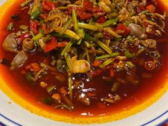 -荆九爷爆炒桥头三嫩(浙大店)