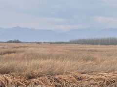 -野鸭湖国家湿地公园