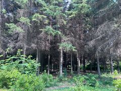 -长春市南湖公园