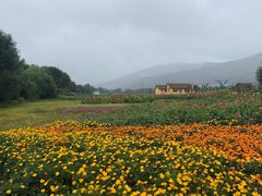 -帽儿山风景区