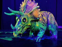 -正佳自然科学博物馆