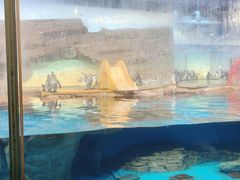 -海合安武汉极地海洋公园