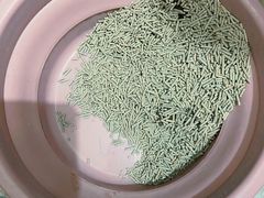 -瑞派动物医院·绝育·犬猫全科·预防医学(光景江南中店)