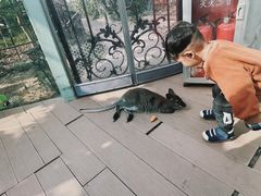 -正佳雨林生态植物园