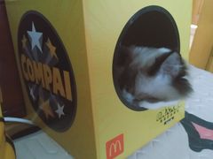 -麦当劳(军博店)