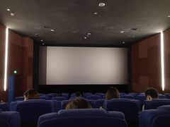 -太平洋影院(西村店)