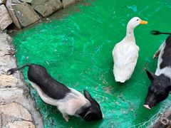 -HERRE·FARM 赫尔露营农场·团建聚会包场