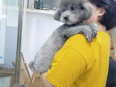 -宠福鑫康馨动物医院·骨科·眼科