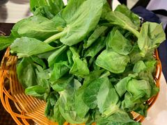 -鲜入围煮花胶鸡海鲜火锅