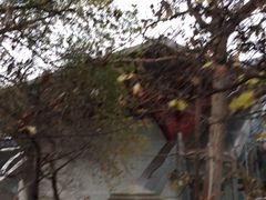 -旅顺留声机博物馆