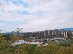 -飞凤山奥体公园