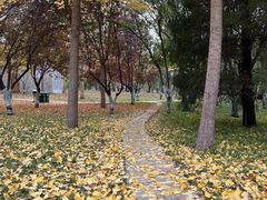 -泰丰公园