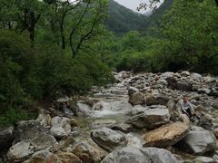 -秦岭风景区