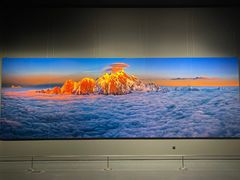 -罗红摄影艺术馆