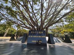 -深圳仙湖植物园