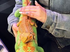 -FAIRYLAND龙族星球主题餐厅(凯丹广场店)