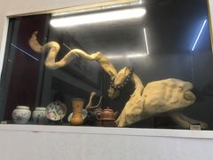 -巷子深菜馆(新华路店)