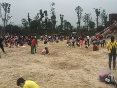 -枫香湖儿童公园