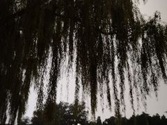 -东华门大街小区