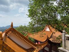 -深圳仙湖植物园
