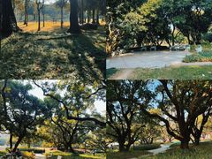 -荔香公园