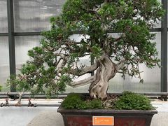 -石家庄市植物园