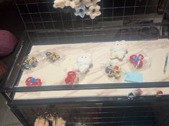 -紫阳海鲜楼·传承闽味(长乐路总店)