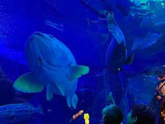 -成都浩海立方海洋公园