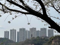 -重庆彩云湖湿地公园