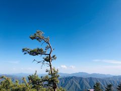-牛背梁国家森林公园