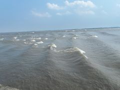 -观潮胜地公园