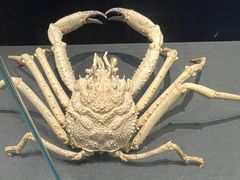-大连自然博物馆