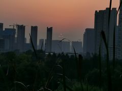 -清真·锦翔炝锅鱼(明德门店)