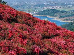 -木兰云雾山