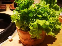-吉秋田鲜和牛烧肉·肉档自选