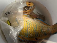 -三亚西岛海洋文化旅游区