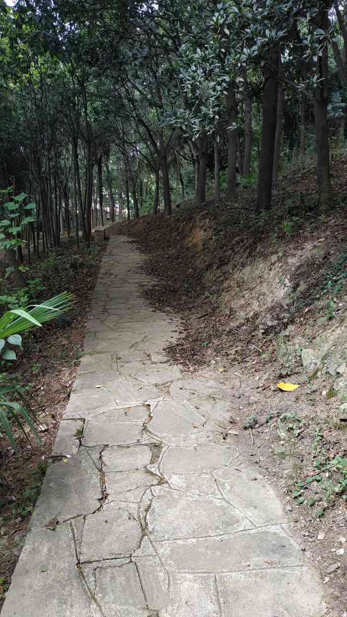 祢衡墓-"因为偶然的网页搜素,得知龟山上有个祢衡墓."-大众点评移动版