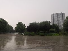 -望湖公园
