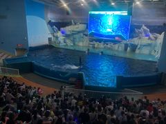 -福州罗源湾海洋世界旅游区