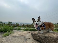 -白水寺森林公园