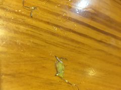 -东北大菜馆(延长路店)