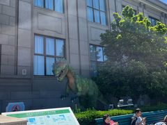 -国家自然博物馆