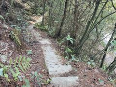 -南山植物园